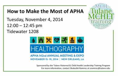 How to make most of APHA 2014 flyer